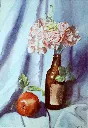 stilllifephoto02.webp