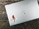Untitled design.webp