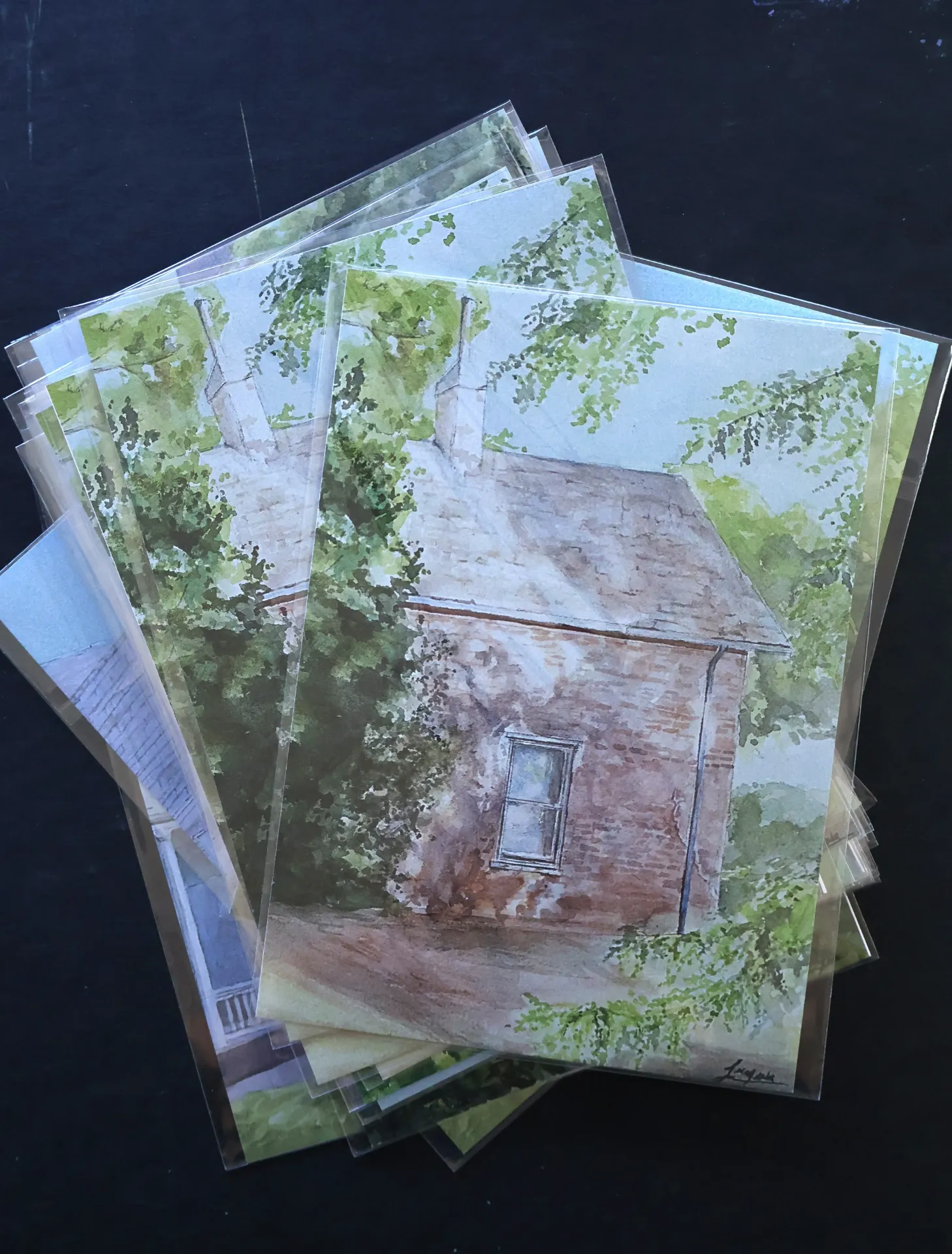 Through the trees 5x7 print