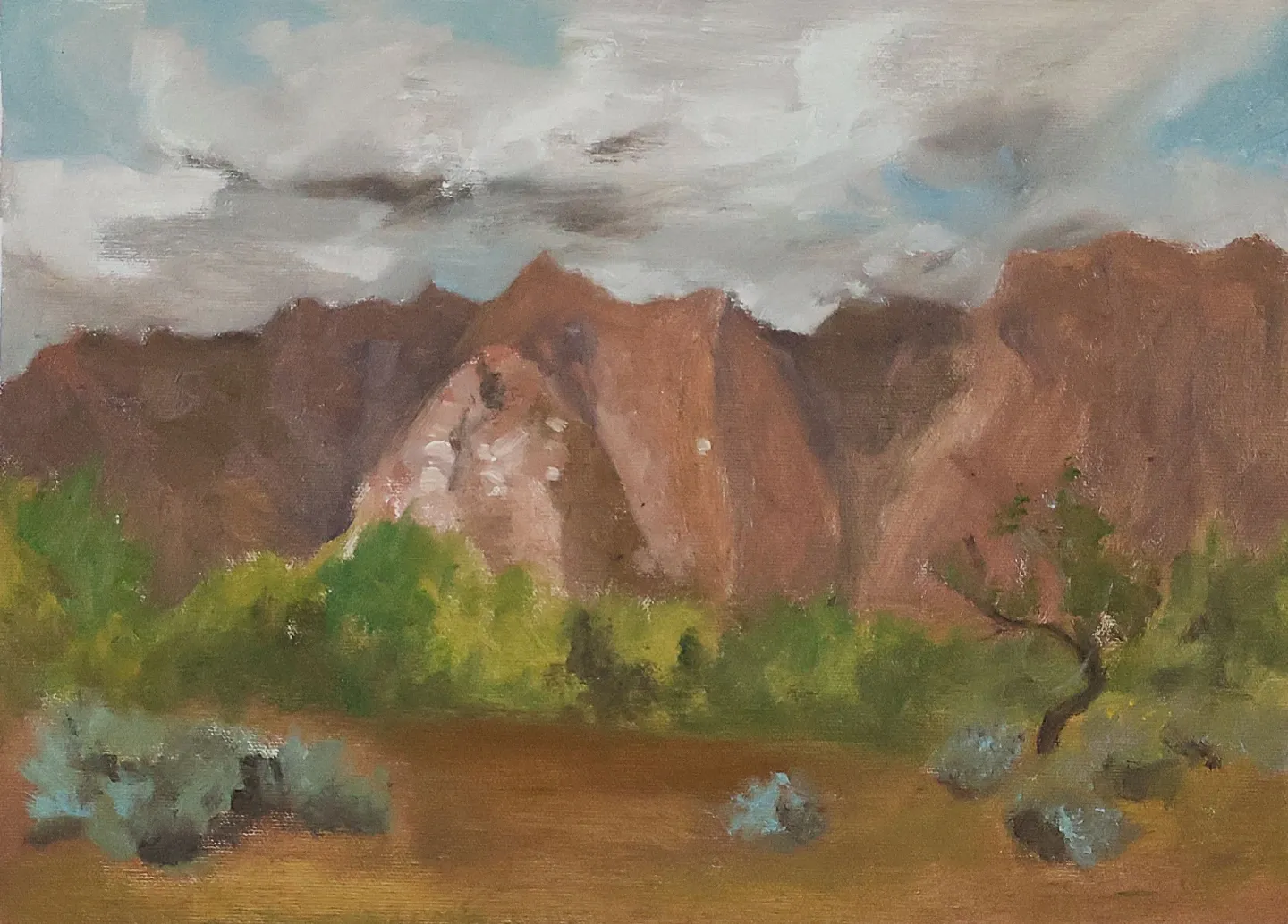 Red Mountain 10x13 Plein Aire Oil