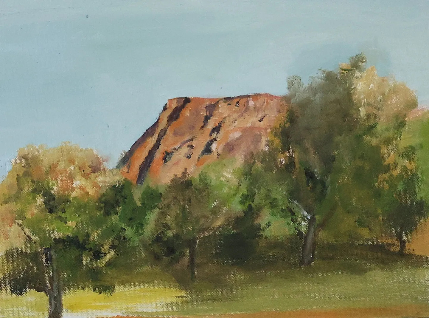 City Park 10x13 Plein aire Oil
