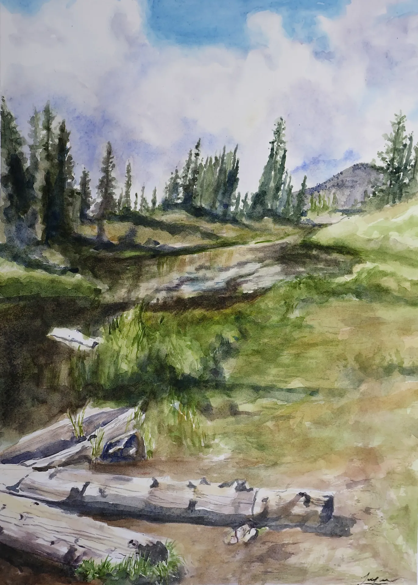 The River Meadow 10x13